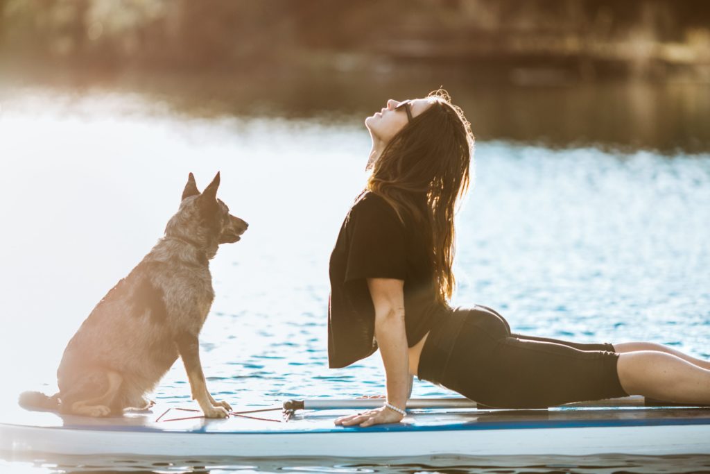 A beautiful young adult woman enjoys a peaceful moment on the water with her paddle board and faithful pet dog, doing yoga poses (baby cobra pose). The sun illuminates the scene, casting a golden glow. Shot in Austin, Texas, USA.