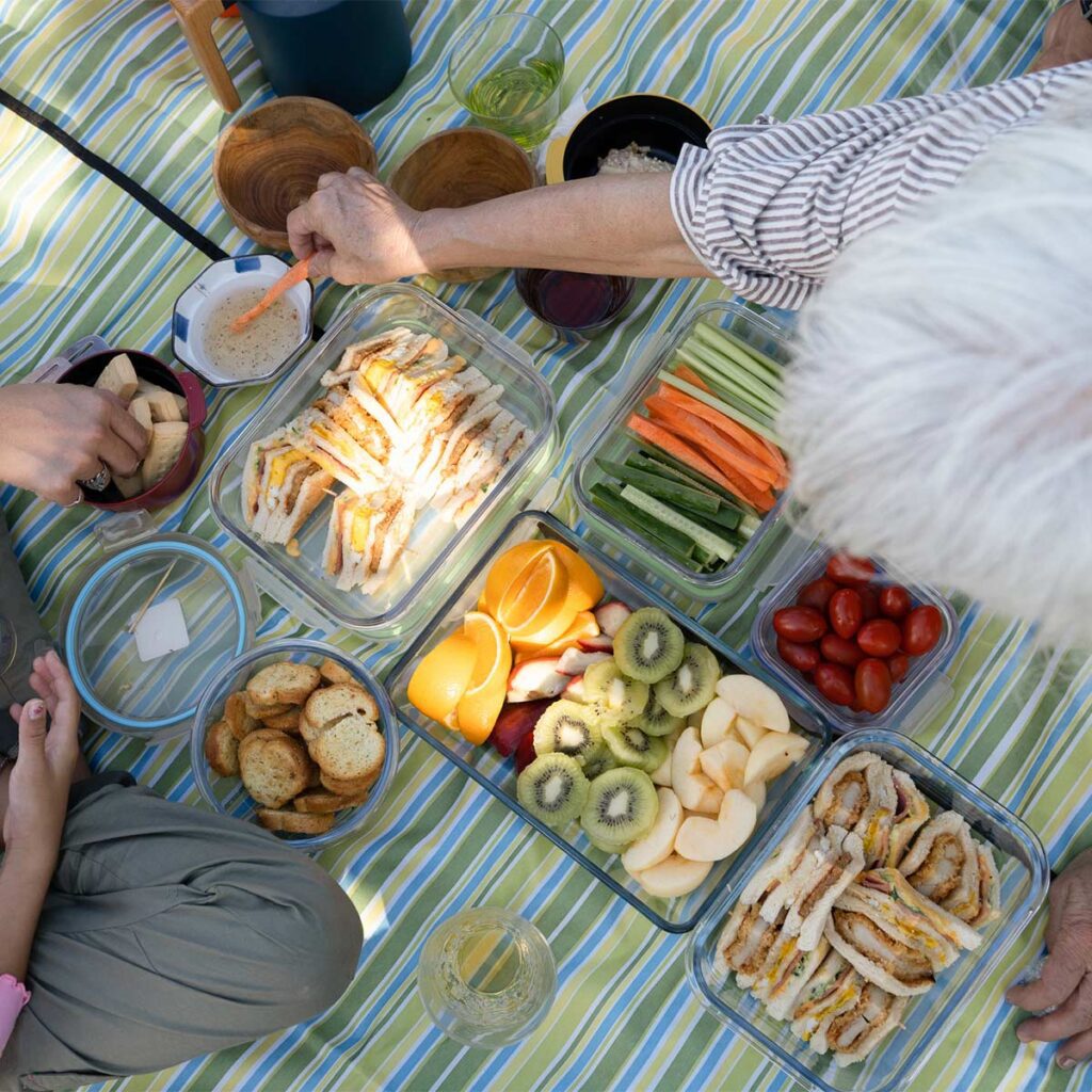 outdoor picnic with snacks