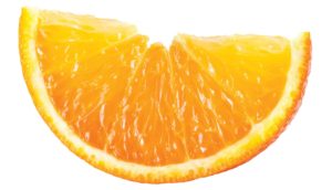 foodfuel_1