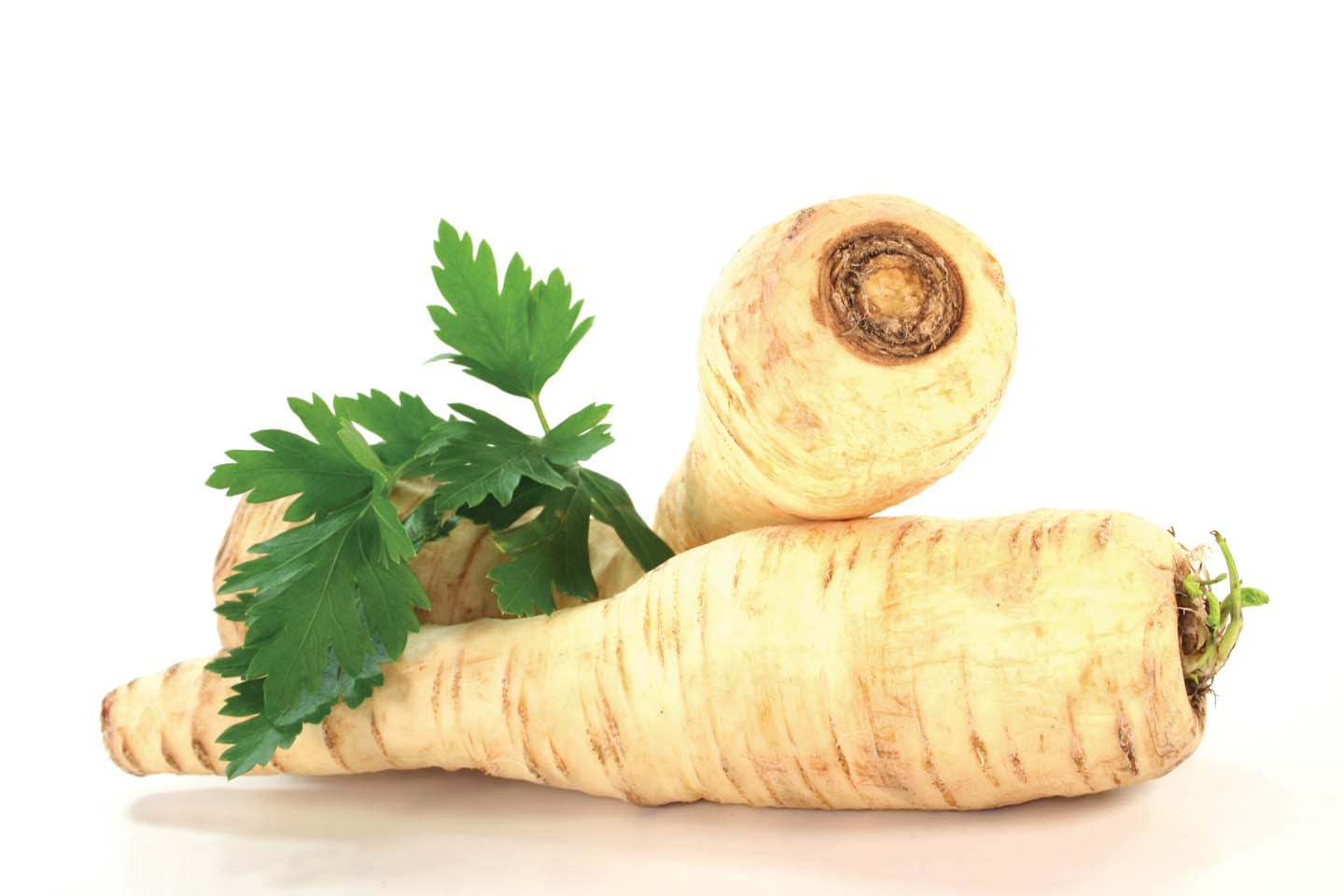 parsnips and parsely in chattanooga