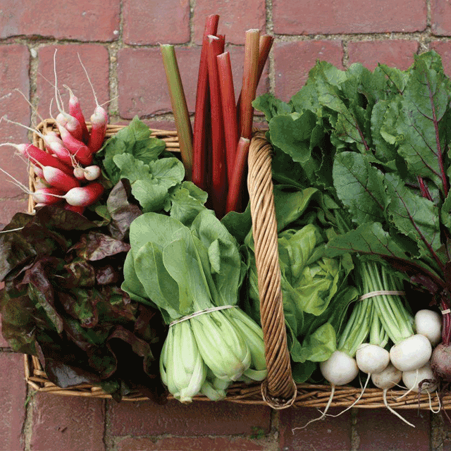 basket of vegetables in chattanooga