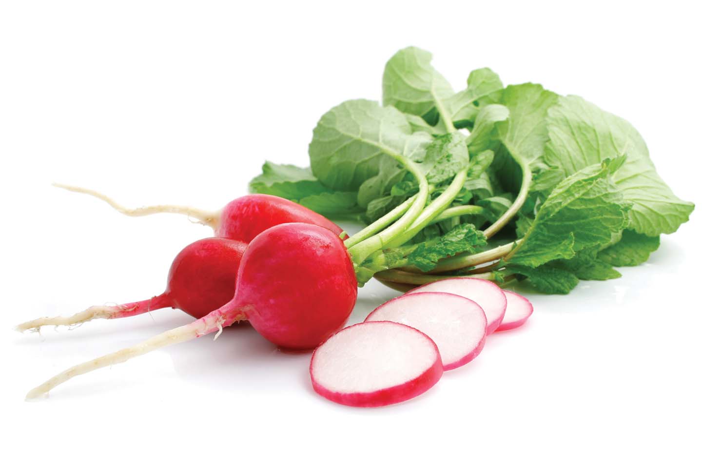 radishes in chattanooga