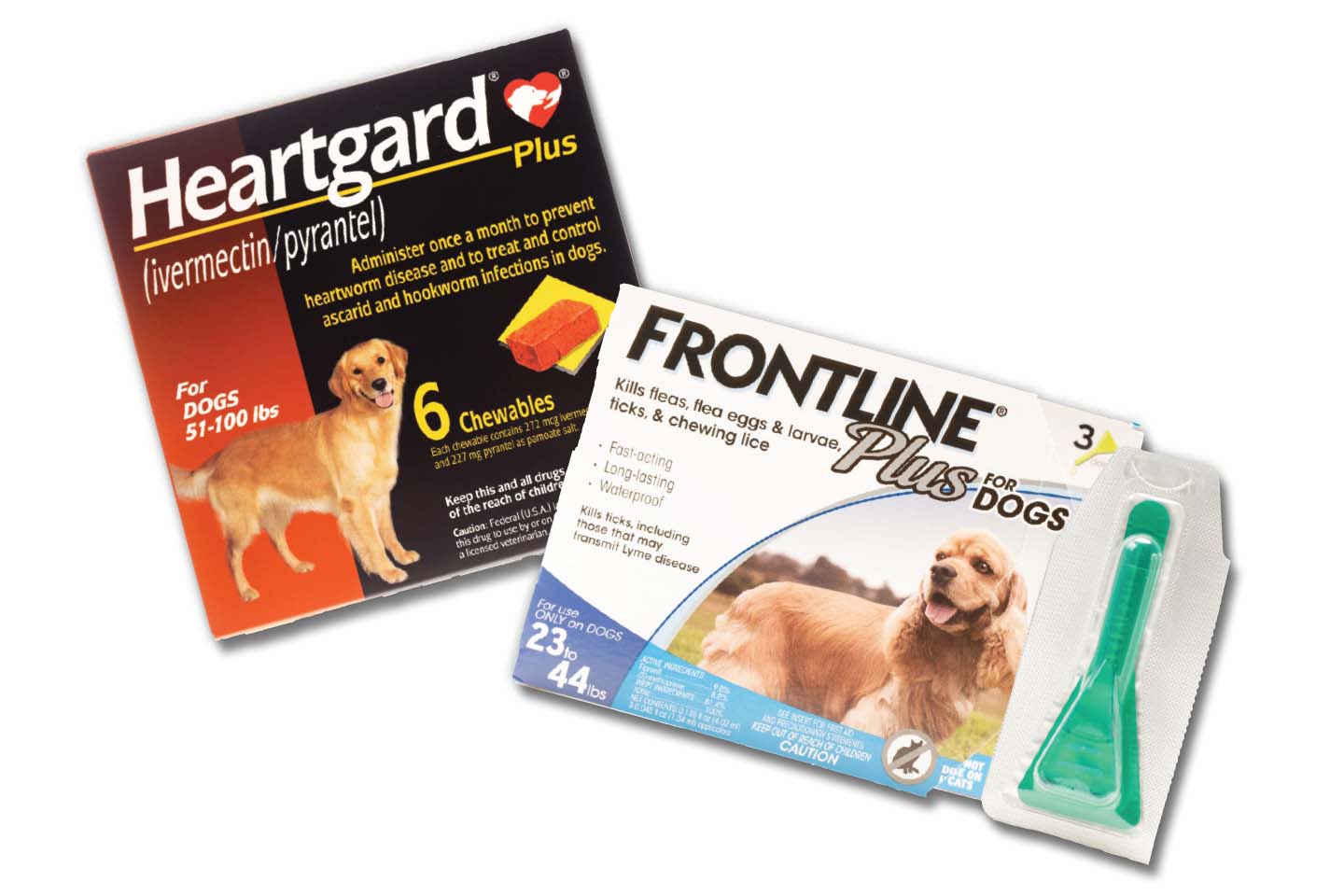 heartgard for heartworms and frontline dog medicine for fleas and ticks