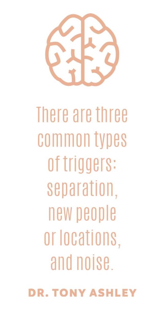 anxiety triggers separation new people locations and noise chattanooga