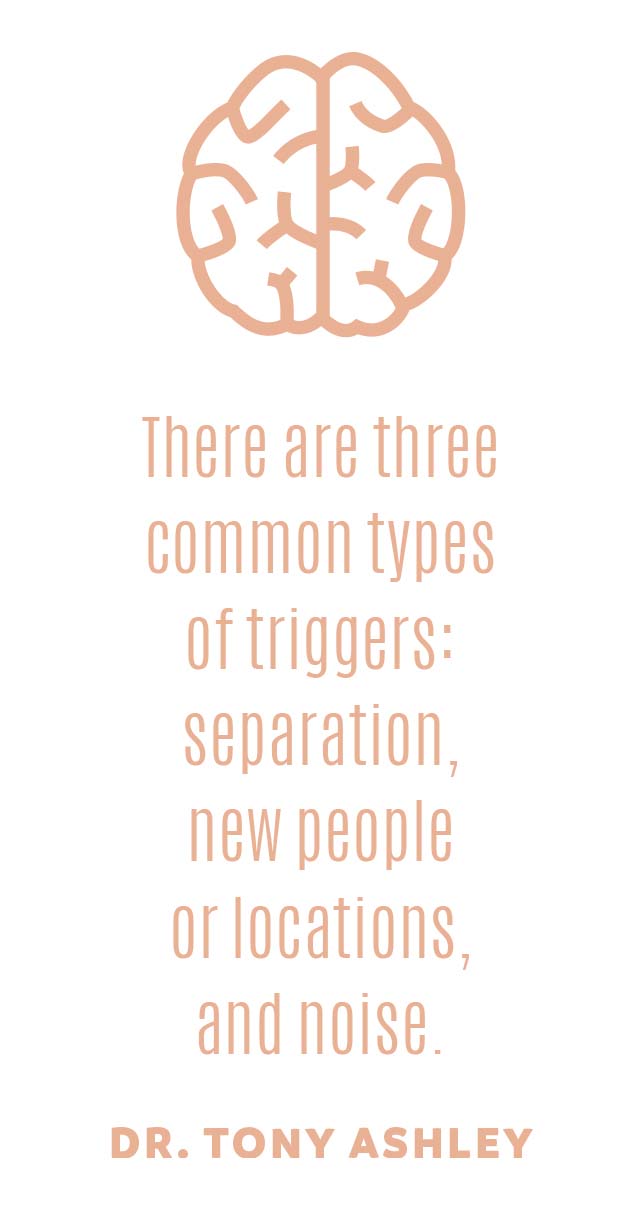 Anxiety in Animals HealthScopeHealthScope