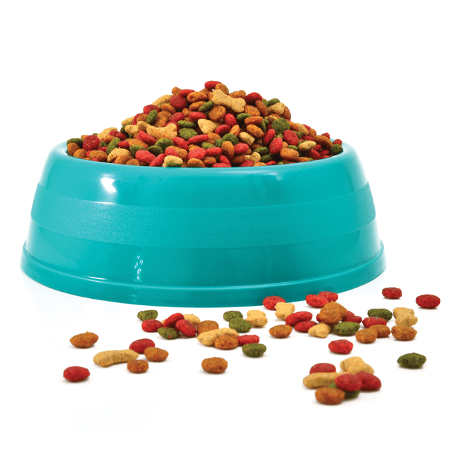 turquoise teal bowl healthy pet food chattanooga