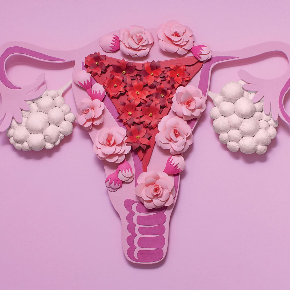 depiction of uterus made out of materials with pink background