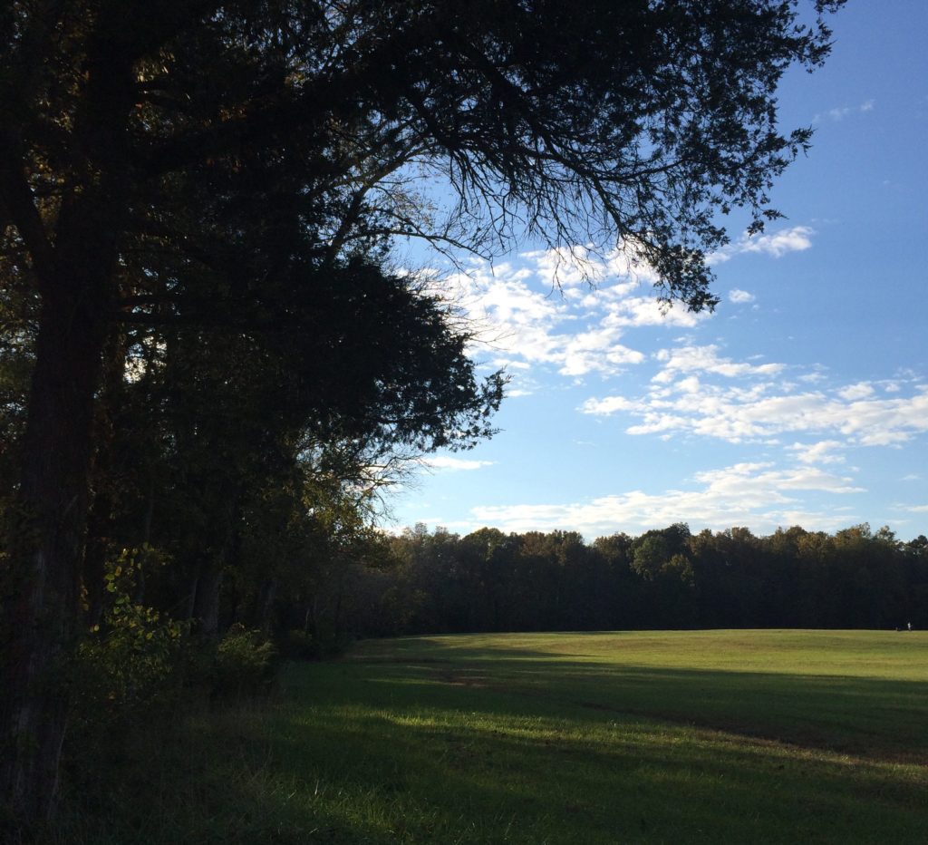 Field at Chickamauga and Chattanooga National Military Park