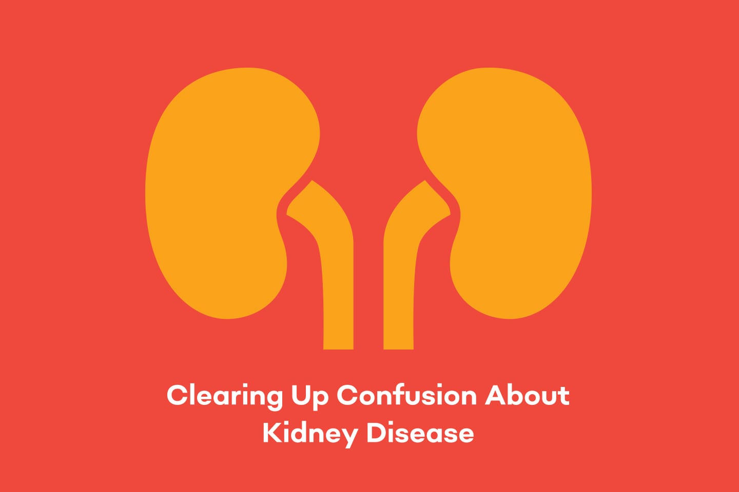 illustration of kidneys in chattanooga