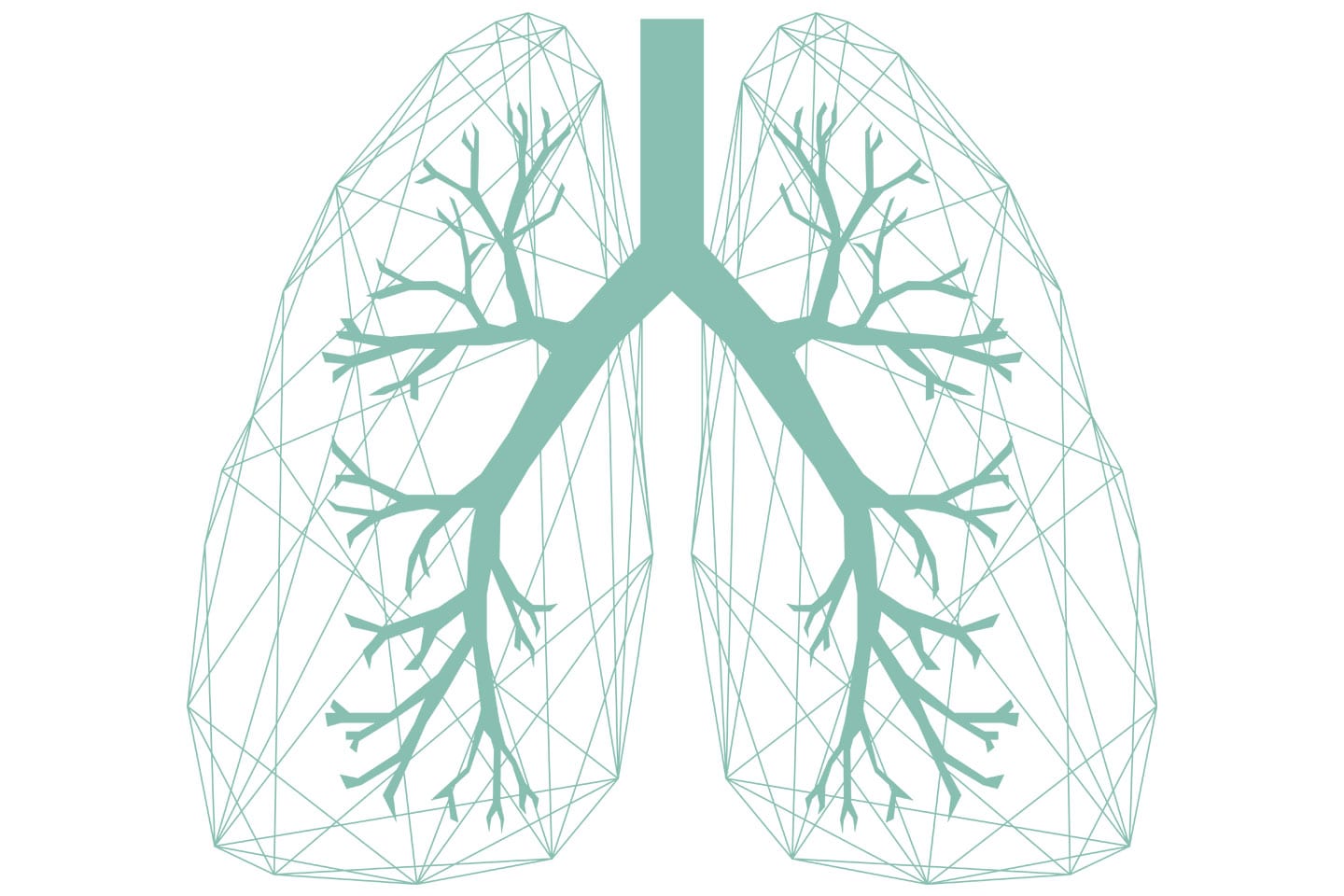 Lung Cancer Lungs Illustration Chattanooga