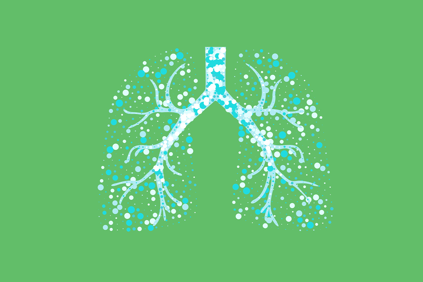Illustrated graphic of lungs