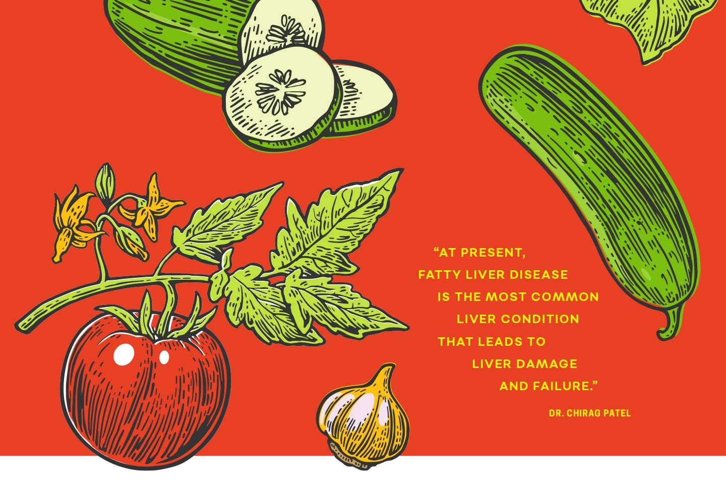 vegetable illustrations around a quote about fatty liver disease from a chattanooga doctor