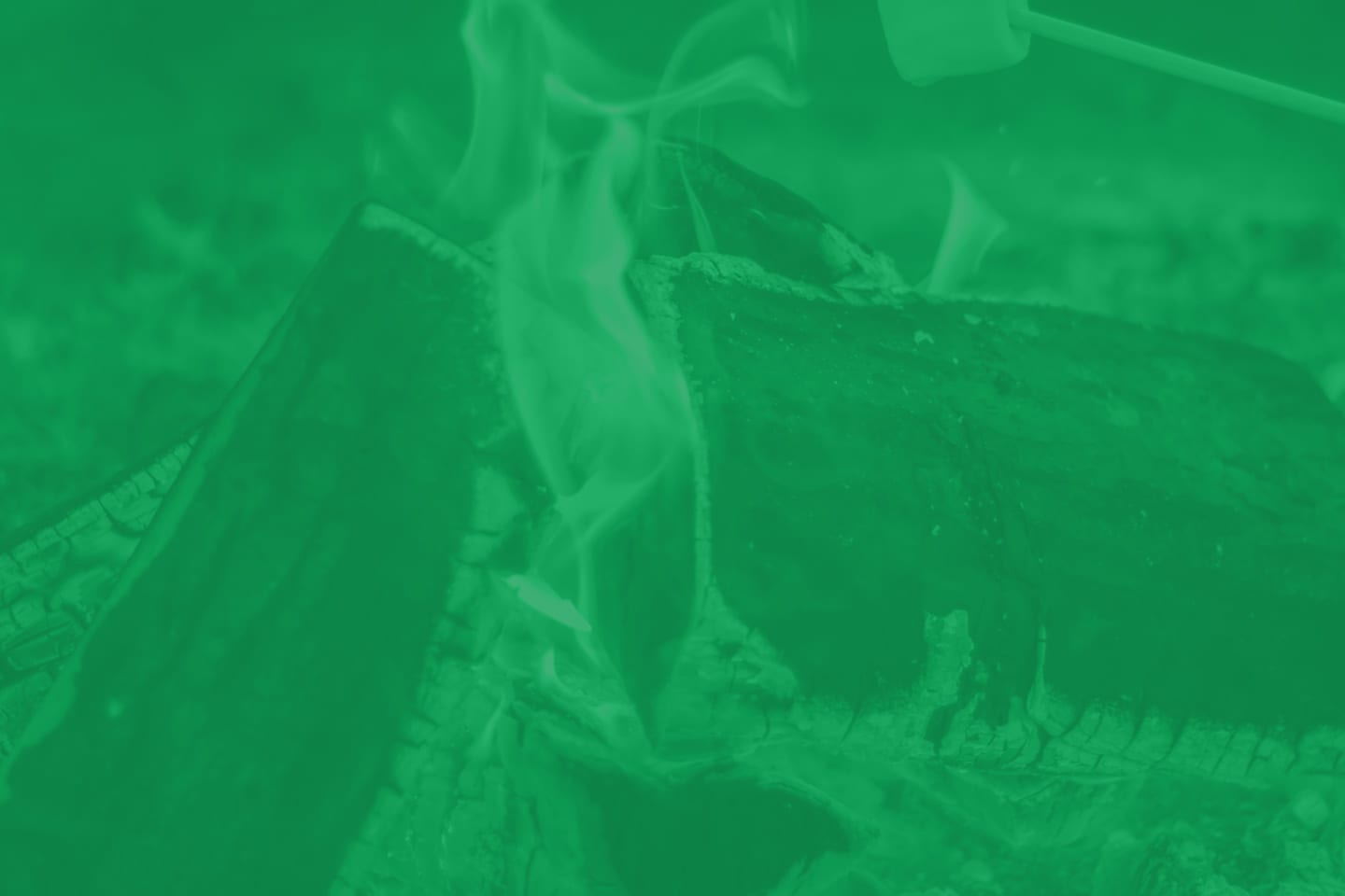 roasting marshmallows over a campfire with green overlay
