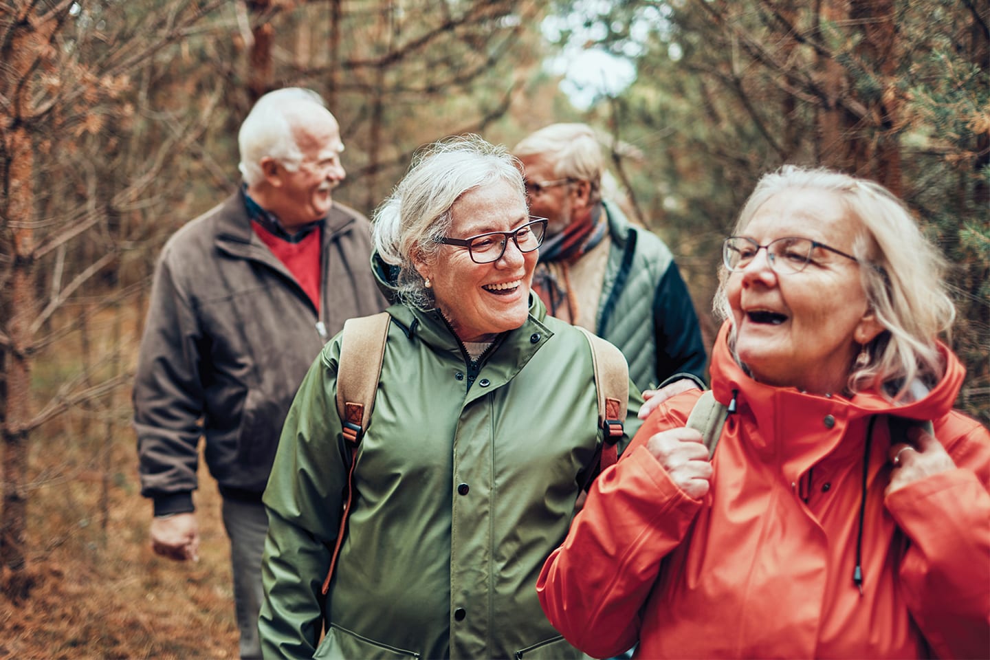 senior adults hiking in the woods