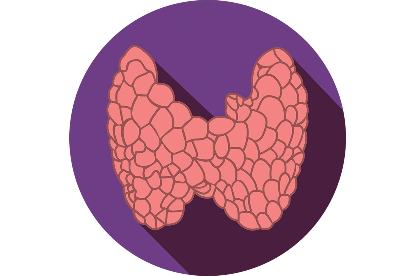 thyroid illustration