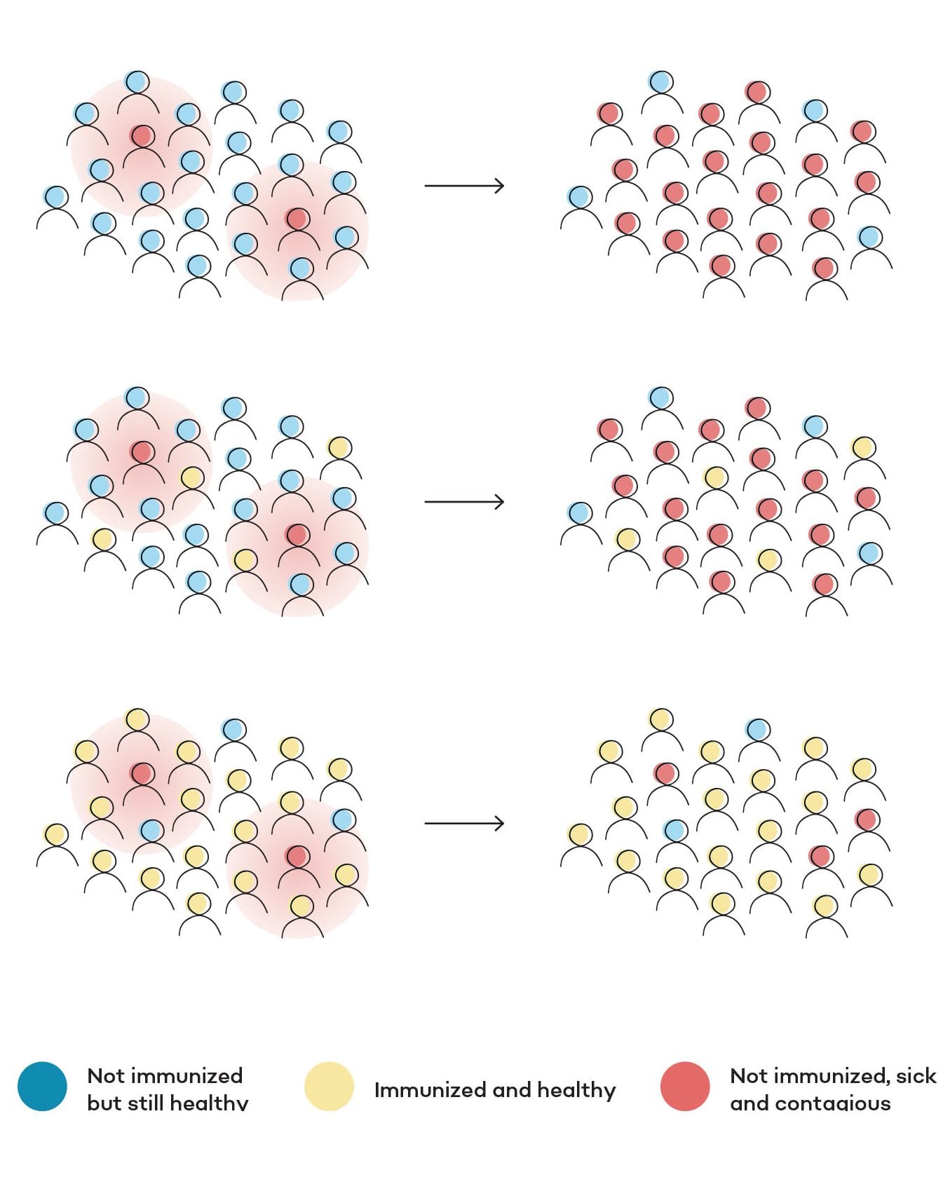 infographic explaining herd immunity