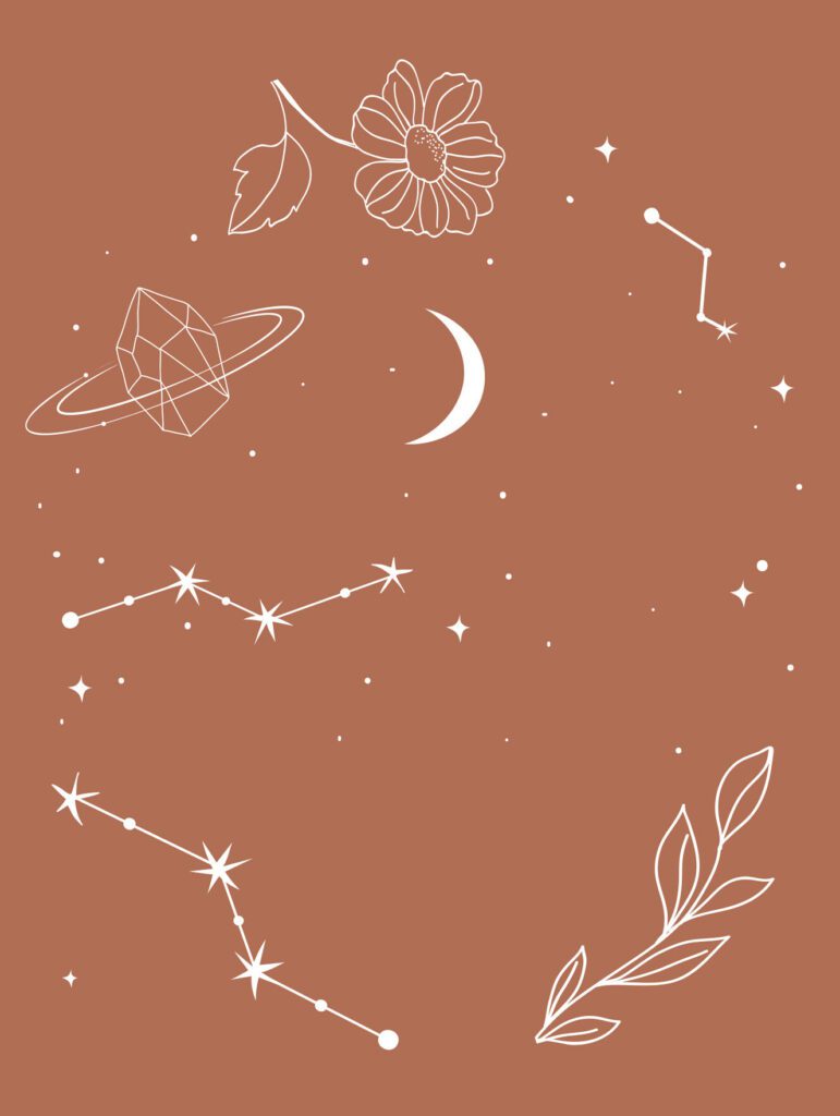 illustrations of flowers and constellations