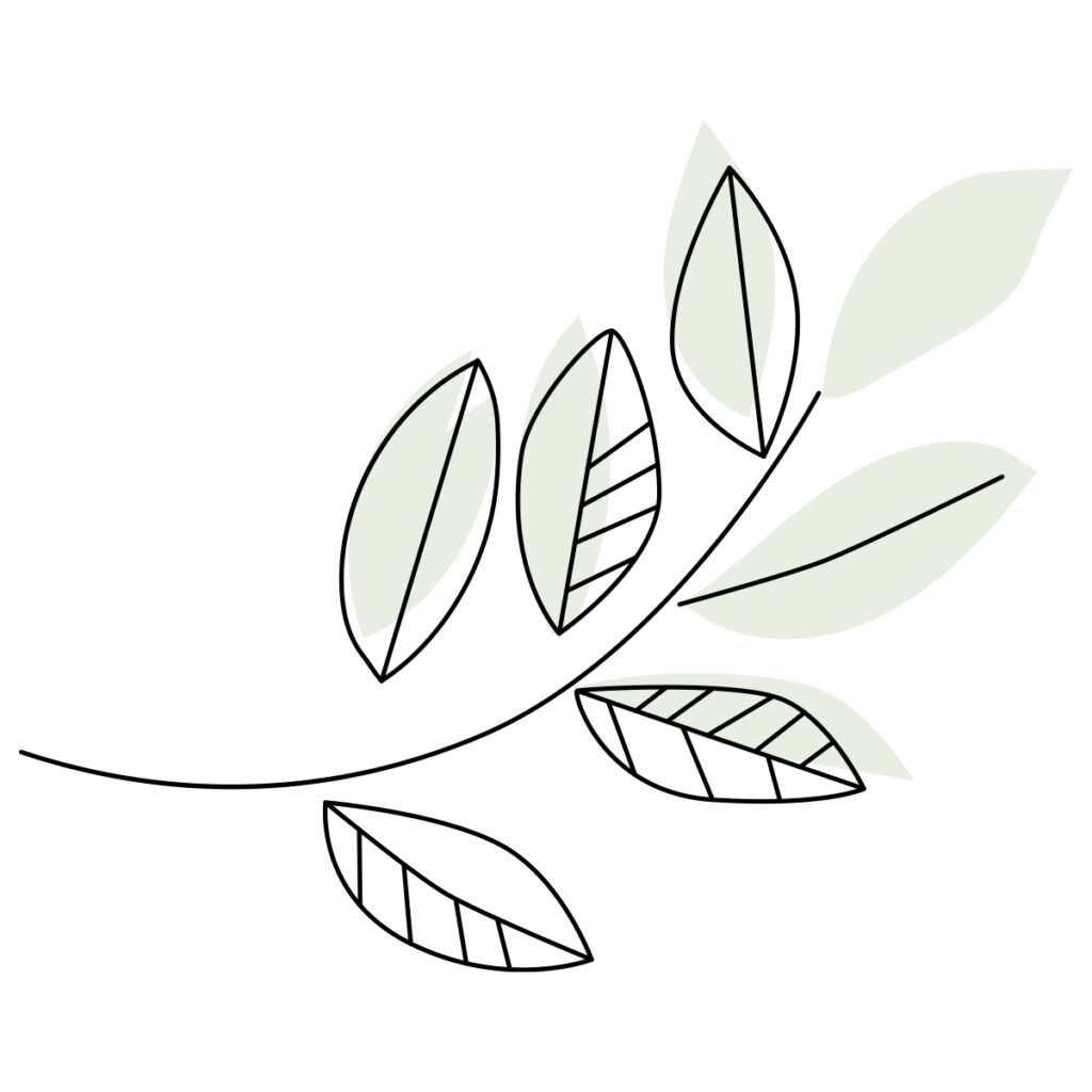 graphic illustration of leaf branch