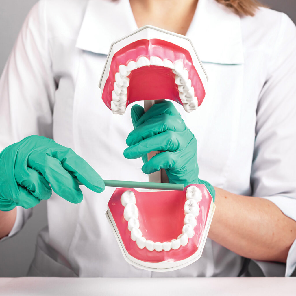 A person in a white coat and green gloves demonstrates dental care using a model of teeth and gums.
