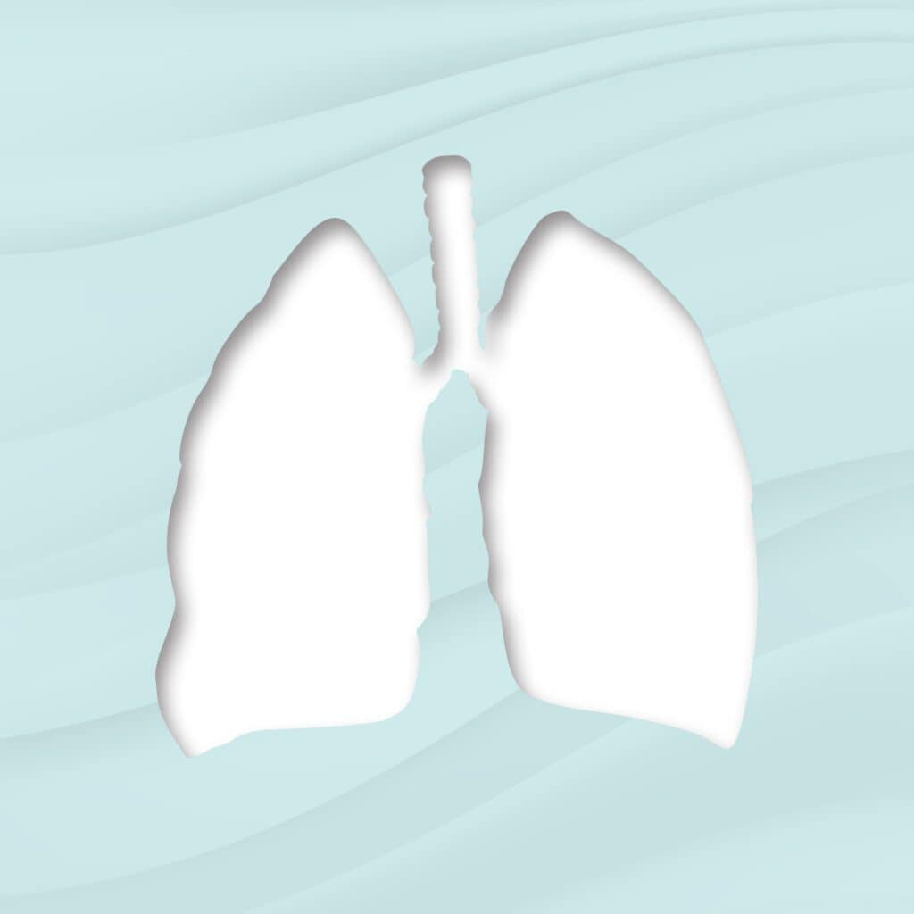 lungs