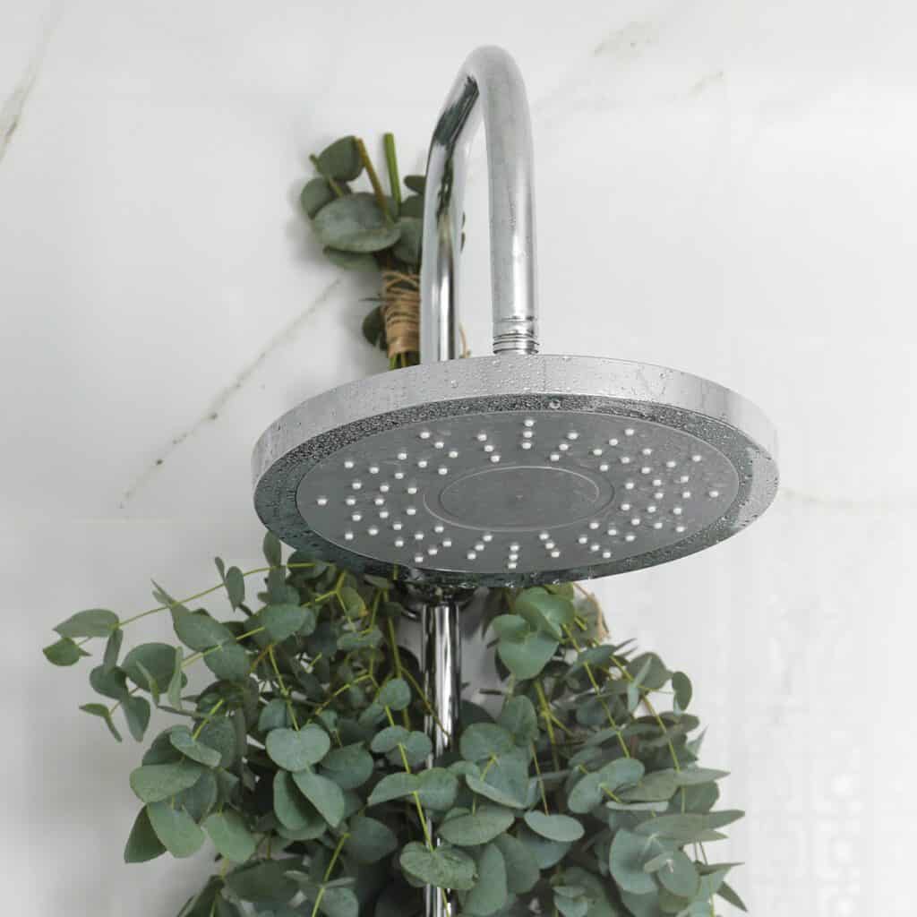 shower head with herbs attached to it