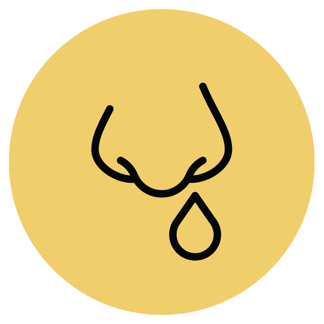 Feature.SpringAllergies.NoseIcon
