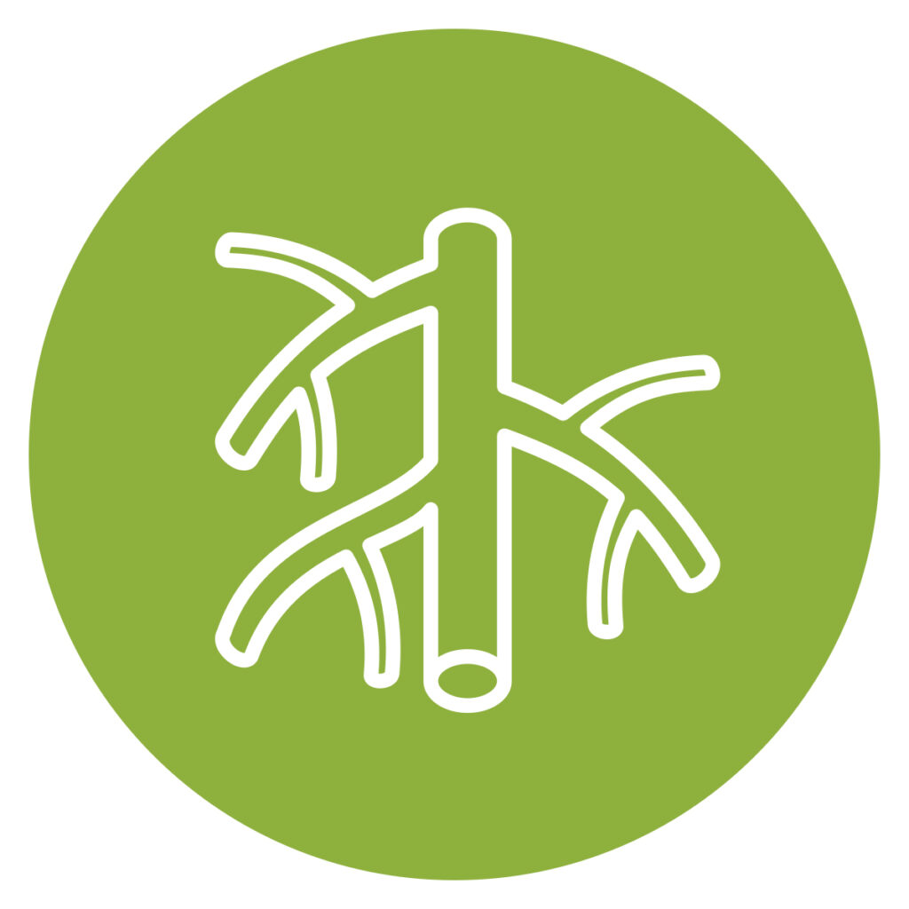 Veins icon