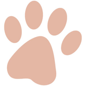 A simple, stylized paw print in a soft peach color, featuring a large pad and four oval toe prints.