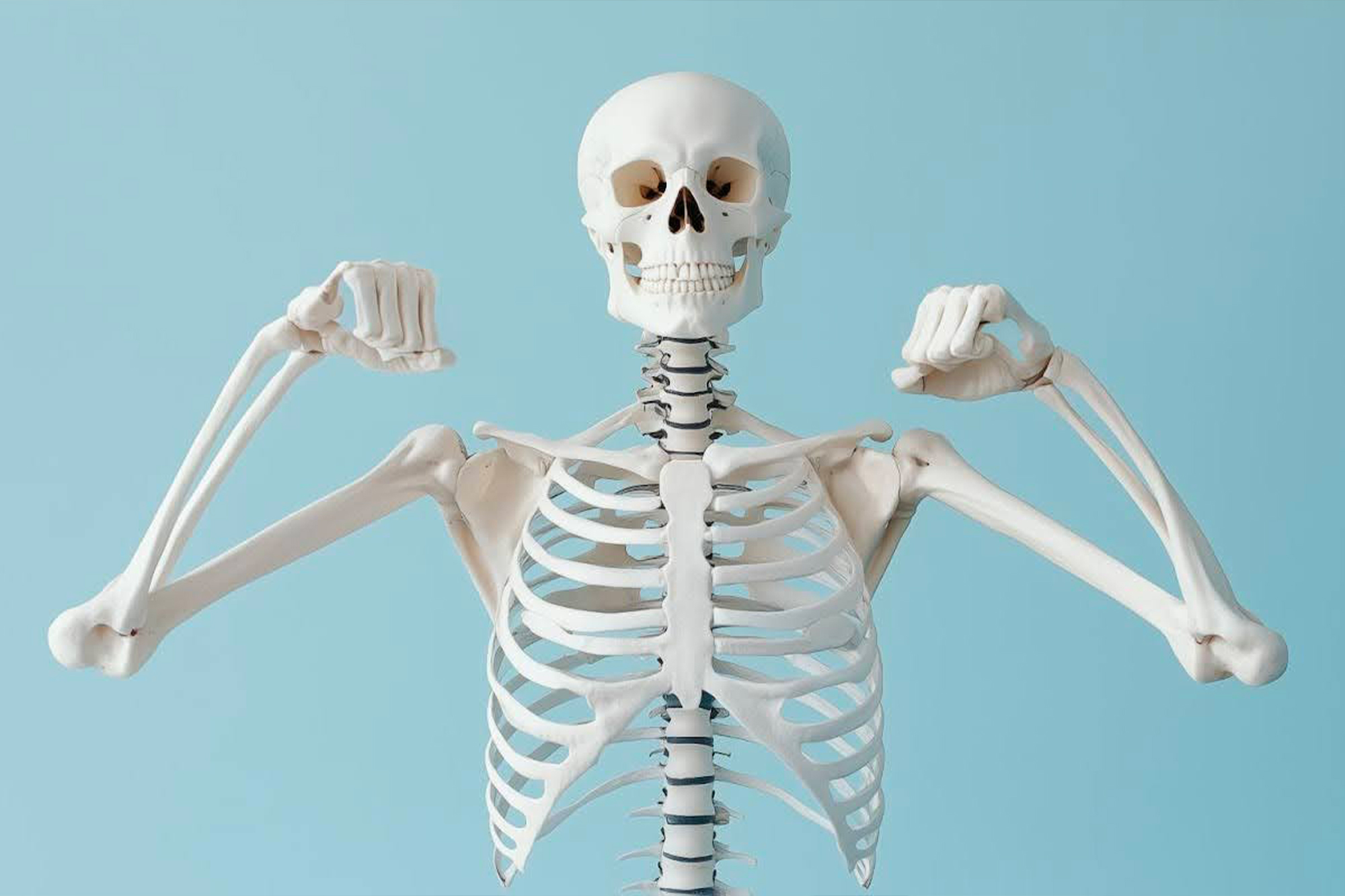 Skeleton flexing arms on blue background
