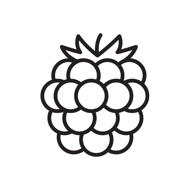 berry icon