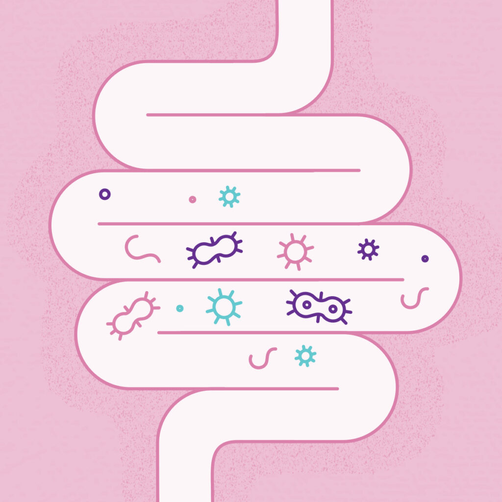 illustration of intenstines