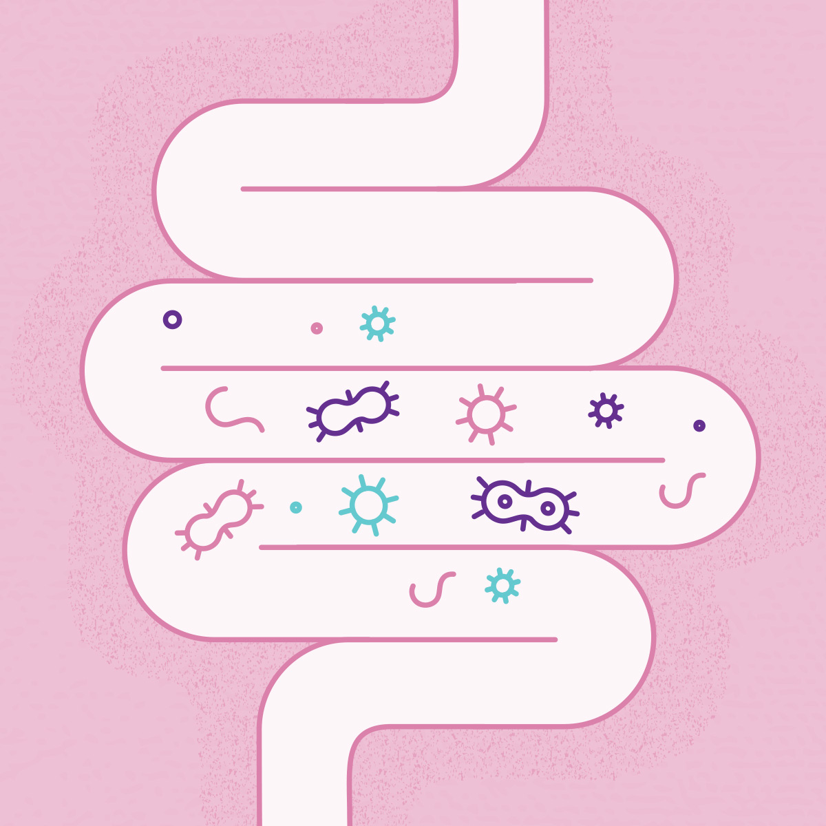 illustration of intenstines