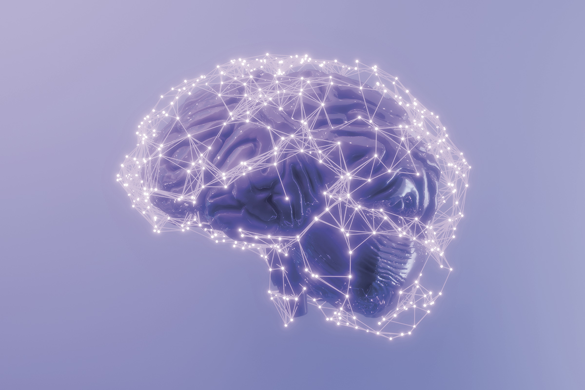 brain mapping illustration