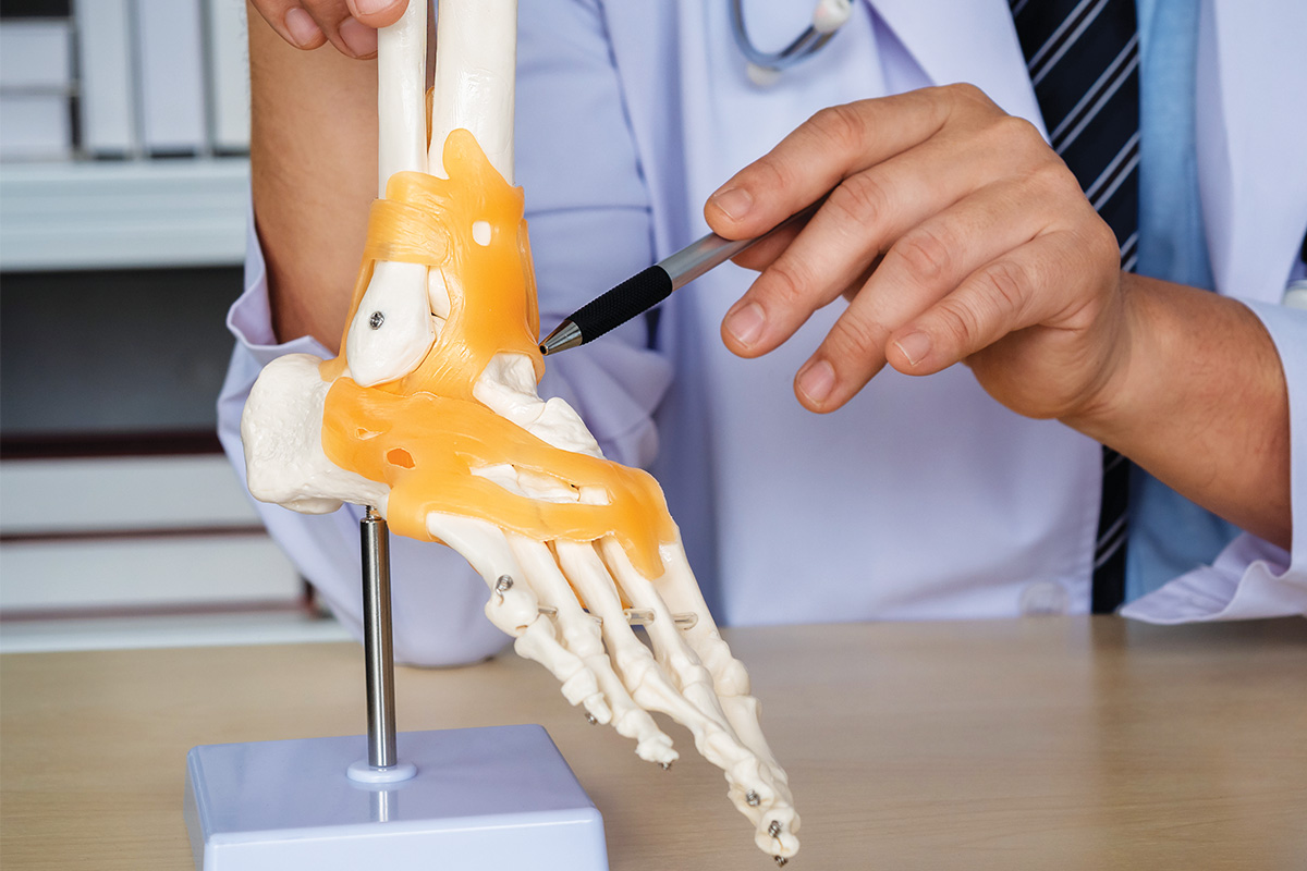 Total Ankle Replacement demonstration on model