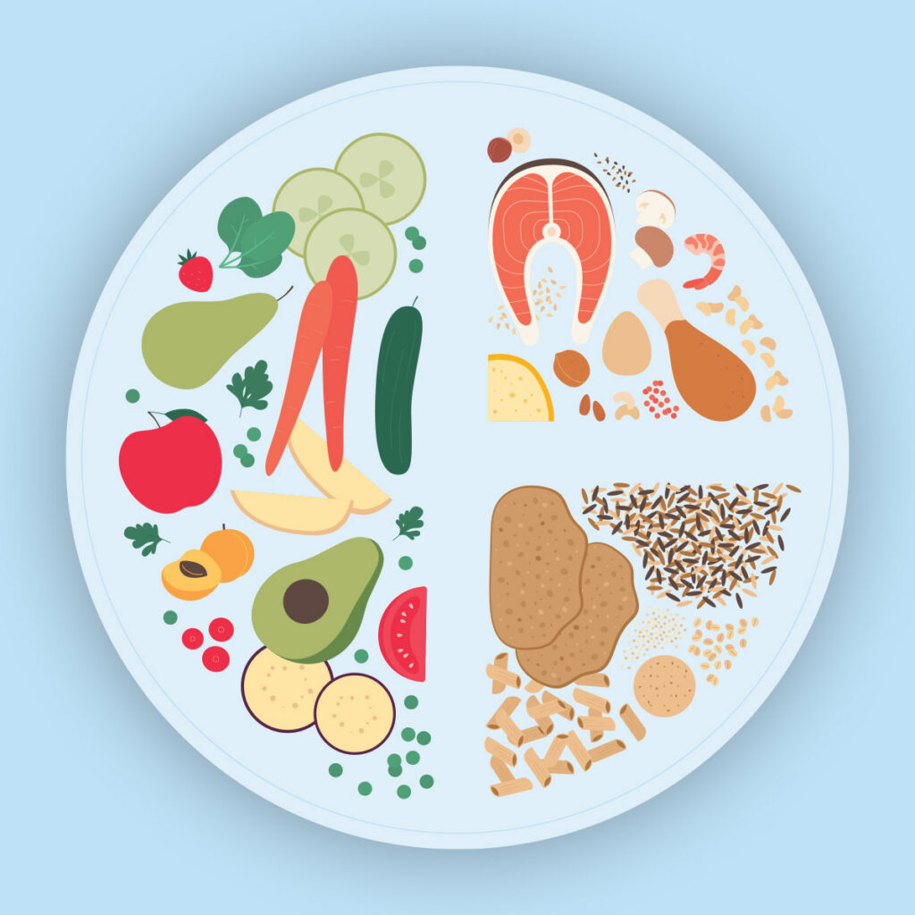 illustration of a balanced plate