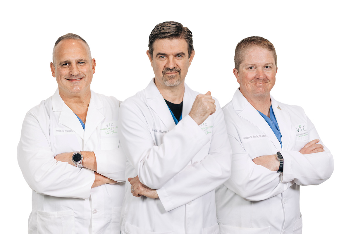 Dr. Cuozzo, Dr. LeSar, and Dr. Harris at VIC