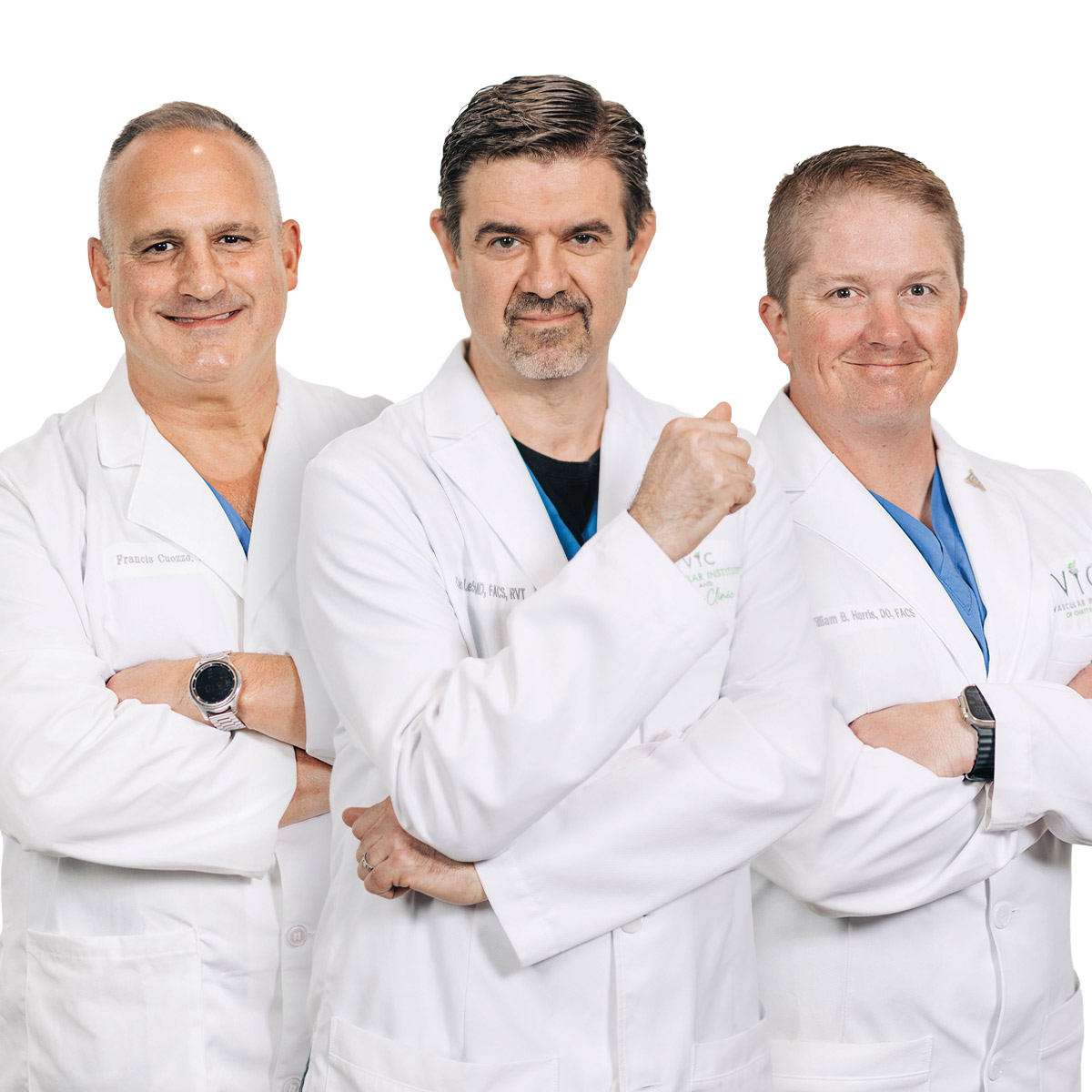 Dr. Cuozzo, Dr. LeSar, and Dr. Harris at VIC
