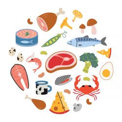 Protein sources