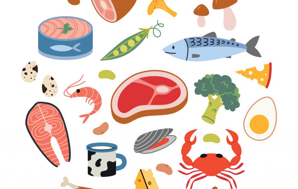Protein sources